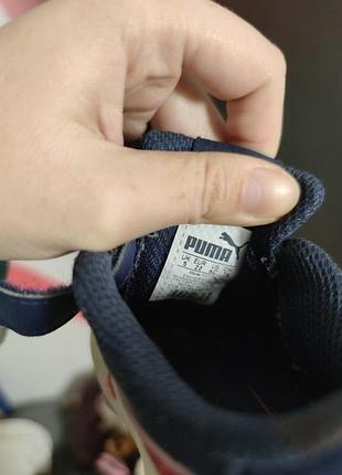 Puma smash 5