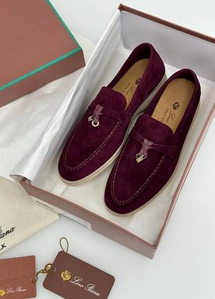 Лоферы замшевые бордовые марсала loro piana полный комплект