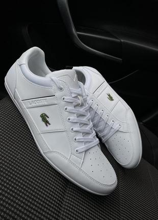 Lacoste кроссовки кожа