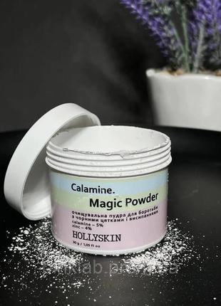 Пудра hollyskin calamine magic powder