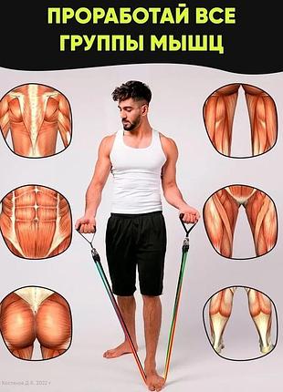 Резинки для фитнеса, спортивная резинка для тренировок, набор резинок nq-502 для фитнеса