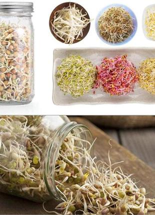 Набор из 2 стеклянных банок для проращивания семян, набор для проращивания семян, 2 банки мейсона для проращив