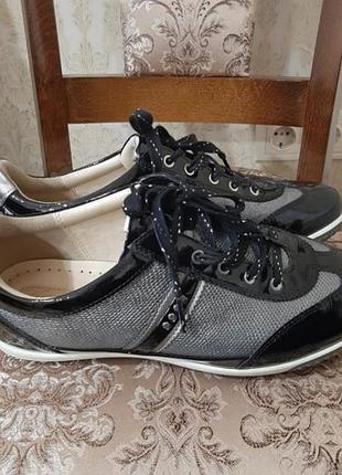 Кеди ecco