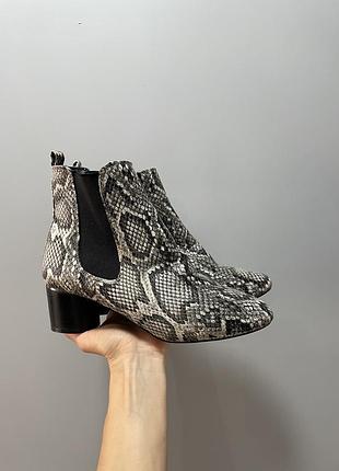 Сапоги зміїний принт