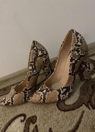 Зміїні туфлі 37
