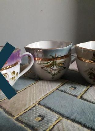 Чашки з чайного сервізу тижневика, коростінь