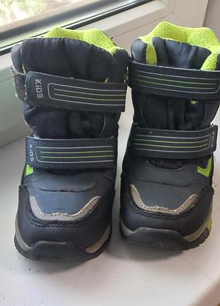 Зимние сапоги, ботинки том.м