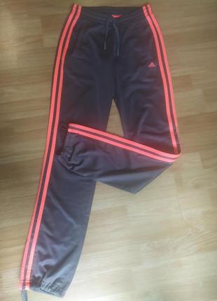 Штани спортивні adidas