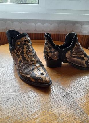 Черевики-козаки