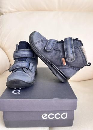 Зимние ботинки ecco
