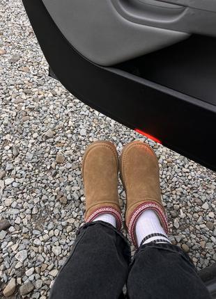 Угги, ugg з натуральної замші 3