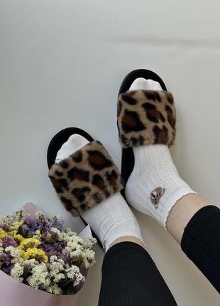 Жіночі домашні тапочки лео3 фото