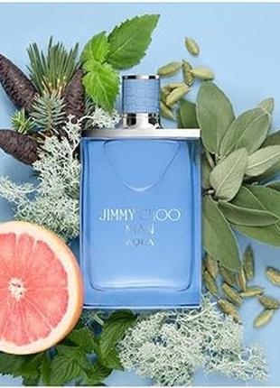 Jimmy choo man aqua туалетная вода для мужчин