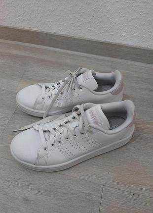 Жіночі кросівки adidas advantage білі/