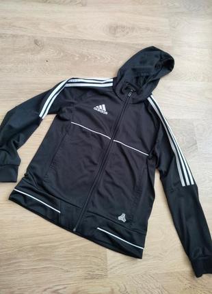 Костюм adidas3 фото