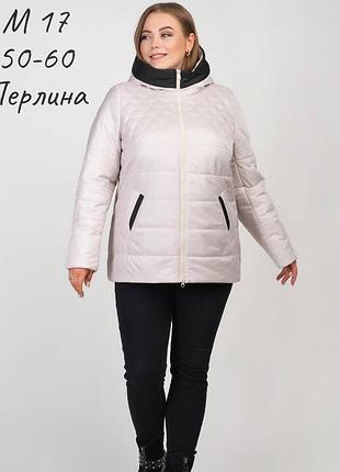 Куртка женская осень