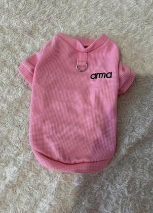 Одежда для животных