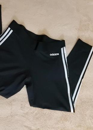 Лосіни adidas