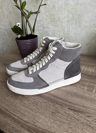 Фірмові черевики clarks