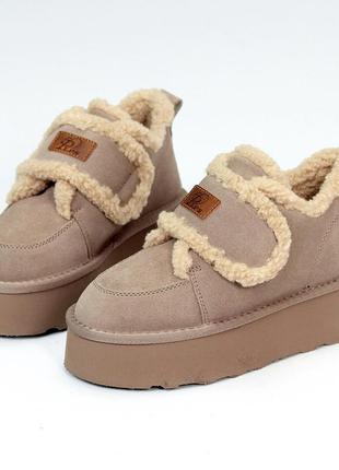 Замшевые женские ugg темное мокко, рабочая липучка, комфортная зимняя модель, короткие...