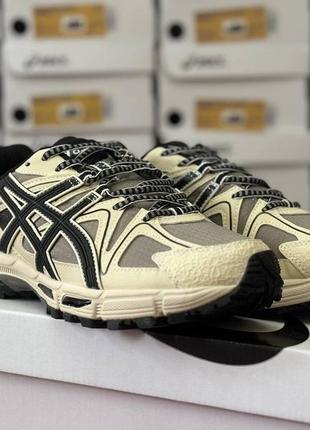 Мужские кроссовки asics демосезони