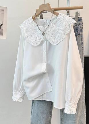 Лаконічна сорочка в білому кольорі з мереживним комірцем🙌