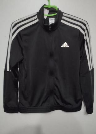 Спортивна кофта adidas