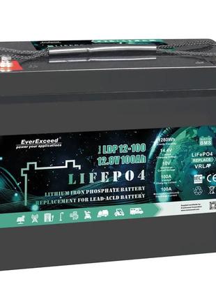 Акумулятор lifepo4 everexceed ldp 12-100