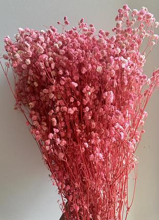 Гипсофила нежно-розовая стабилизированная 1 веточка для создания букетов, декора помещений и предметной съемки