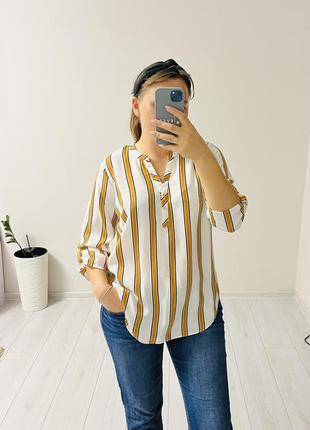 Блуза в смужку