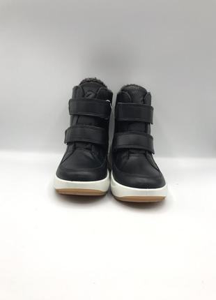 Оригинальные сапоги зимние кожаные от бренд ecco