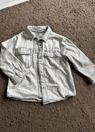 Джинсовка zara