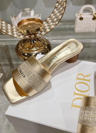 Тапочки dior с вышивкой