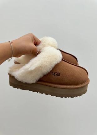 Натуральні ugg disquette капці жіночі