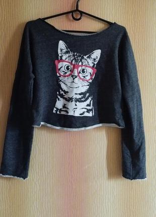 Сіра кофта з котиком в окулярах оверсайз кофтинка світшот топ кіт