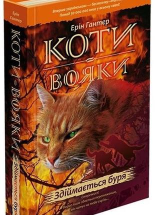 Коти-вояки. книга 4. здіймається буря | ерін гантер
