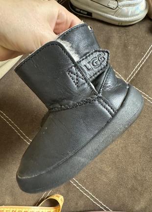 Сапоги сапожки угги ugg 18