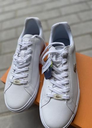 Кеди lacoste