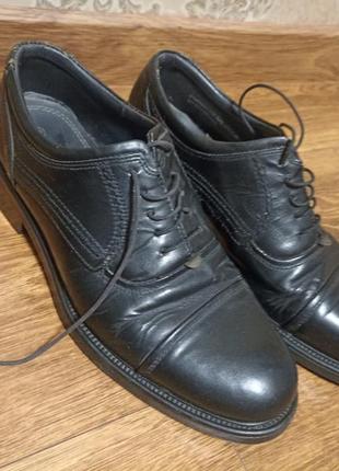 Туфлі шкіряні чоловічі