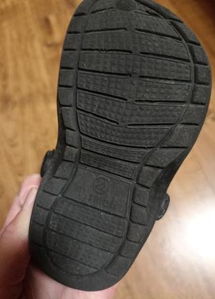 Крокуси дитячі