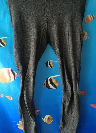 Жіночі лосини