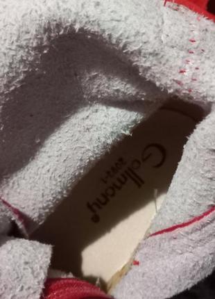 Жіночі стильні замшеві черевики прошиті на блискавці та шнурівці демі.