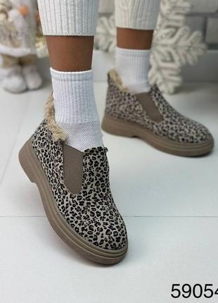 Зимові теплі короткі лофери натуральна шкіра замш хутро тедді