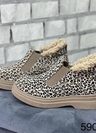 Зимові теплі короткі лофери натуральна шкіра замш хутро тедді