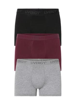 Мужские боксеры livergy