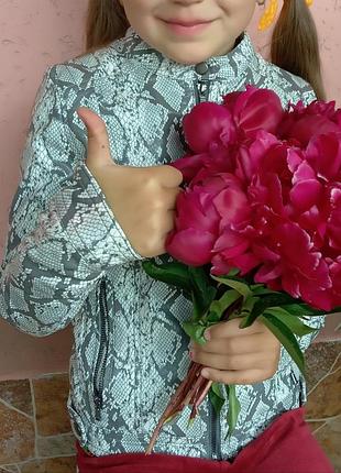 Куртка риптилия 6