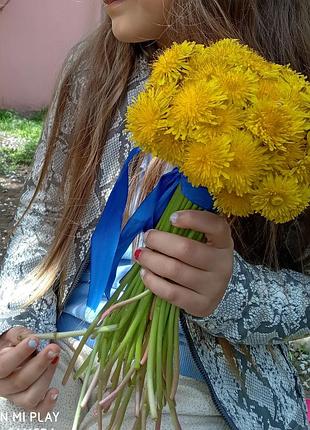 Куртка риптилия 5