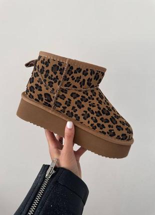 Угги Продам женские ботинки Челси Ugg