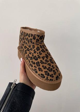 Угги ugg кольору ultra mini platform ginger leopard suede2 фото