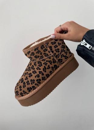 Угги ugg кольору ultra mini platform ginger leopard suede6 фото
